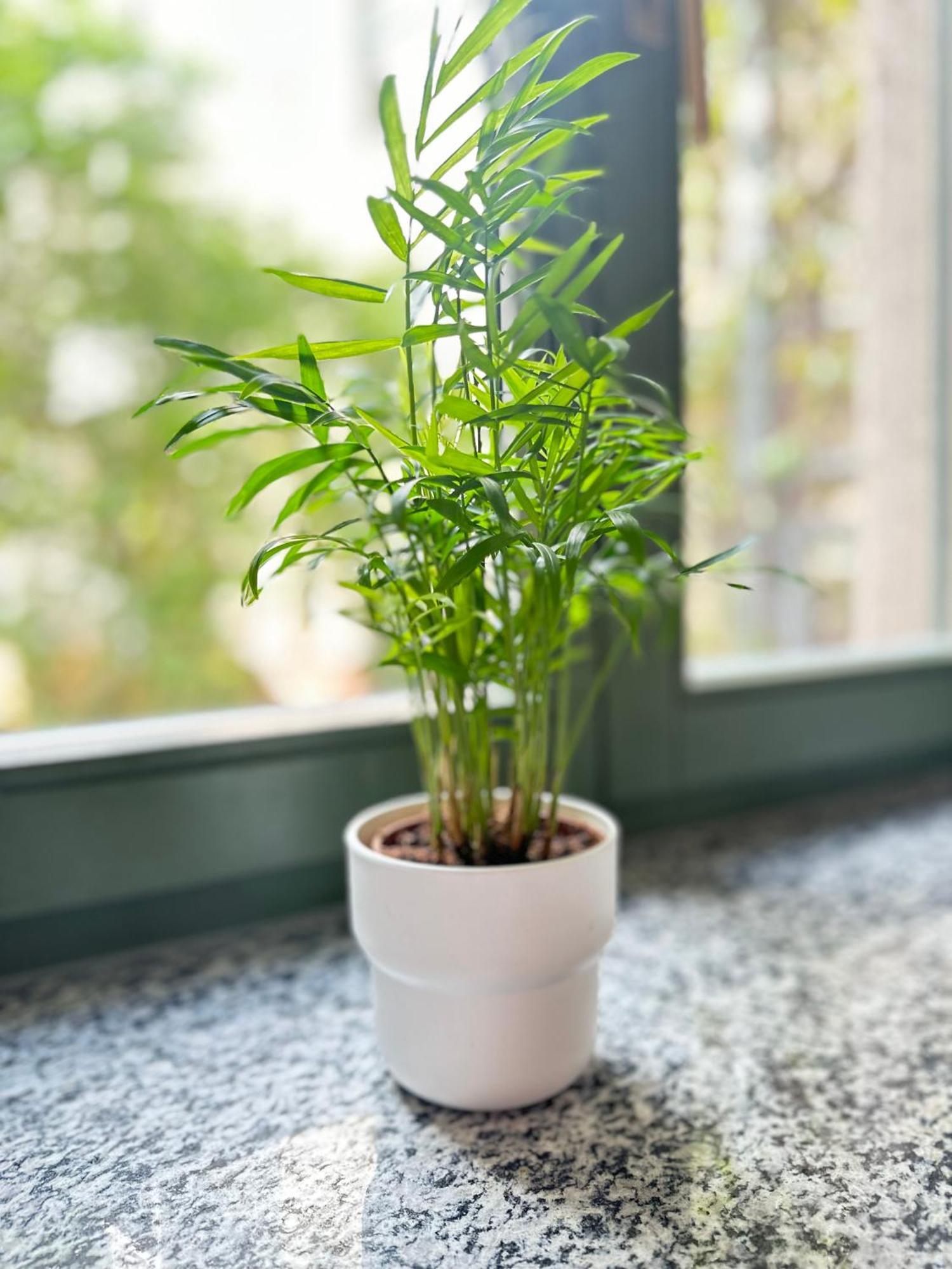 Apartment Arenablick Lipsk Zewnętrze zdjęcie